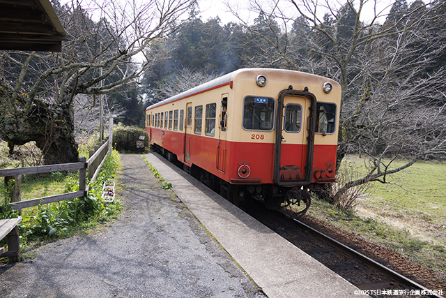 Kominato Railway Itabu Station  KiHa200-208