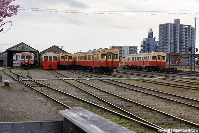 Goi Depot from Kominato Railway Cafe garden