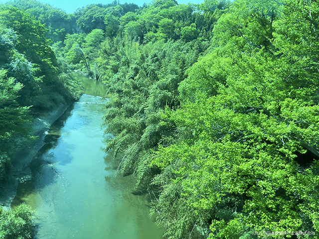 Kururi Line Scenery (Yamatakino)