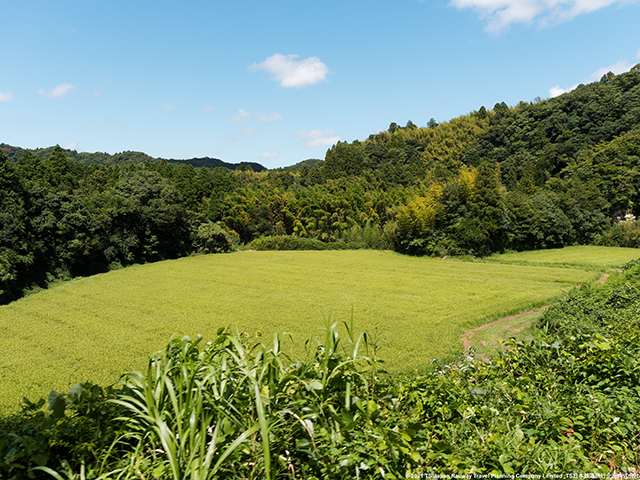 Isumi Railway Summer Scenery (Otaki~Kazusa Nakano)