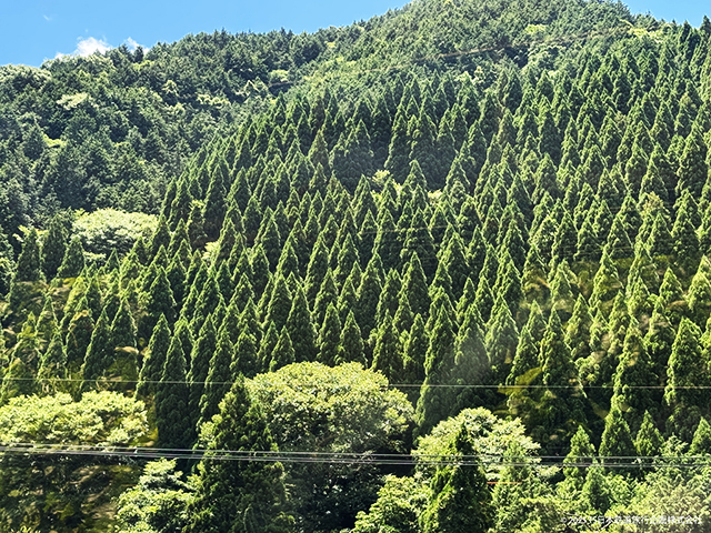 Kisuki Line Scenery - Yakawa