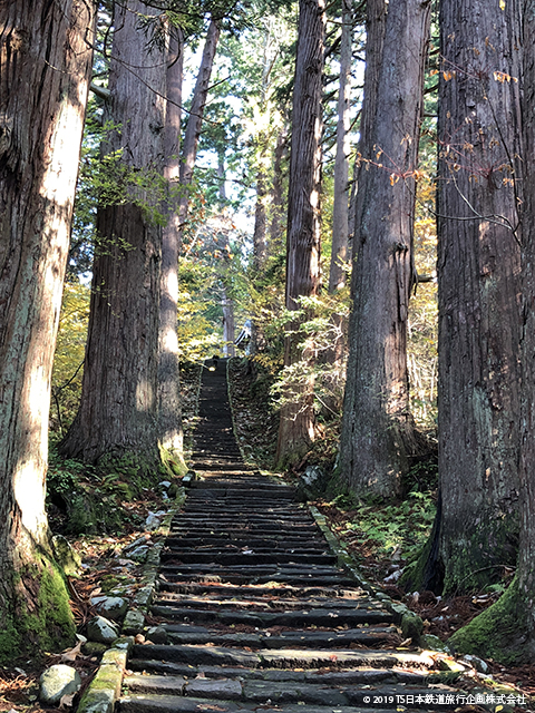 Mt Hagura 2,446 Steps