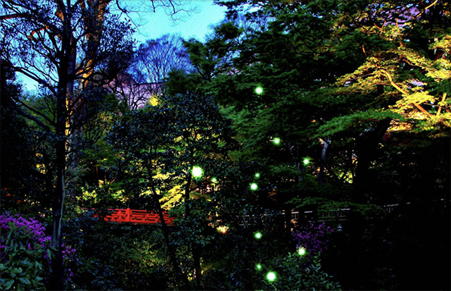 Hotel Chinzanso Fireflies