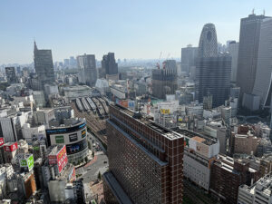 Shinjuku Station from the Tokyu Kabukicho Tower Shinjuku