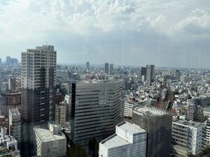 Shinjuku view from the Tokyu Kabukicho Tower